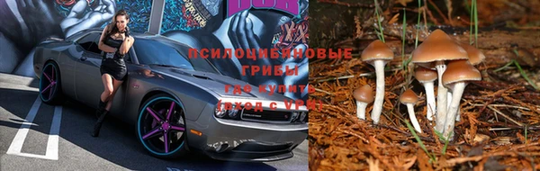 прущая мука Богородицк