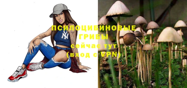 прущая мука Богородицк