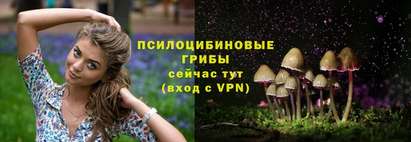 скорость Богородск