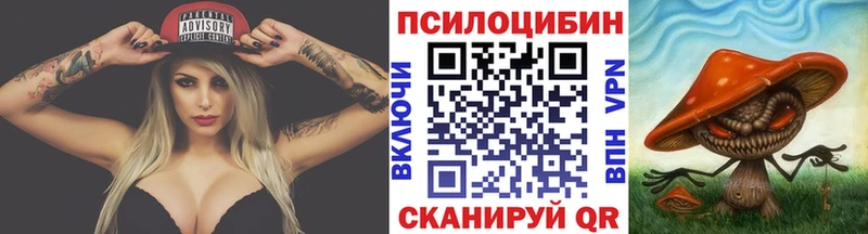 Галлюциногенные грибы GOLDEN TEACHER hydra Володарск